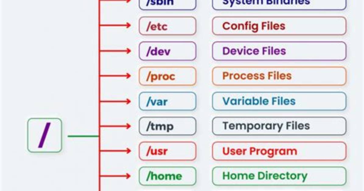Where Do You Put Files in Linux?