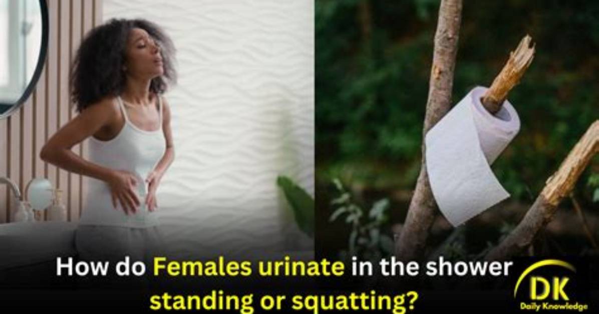 Where Do You Urinate from?
