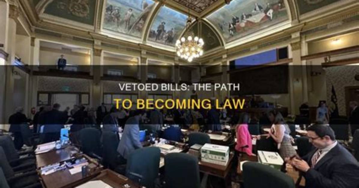 Where Does a Vetoed Bill Go?