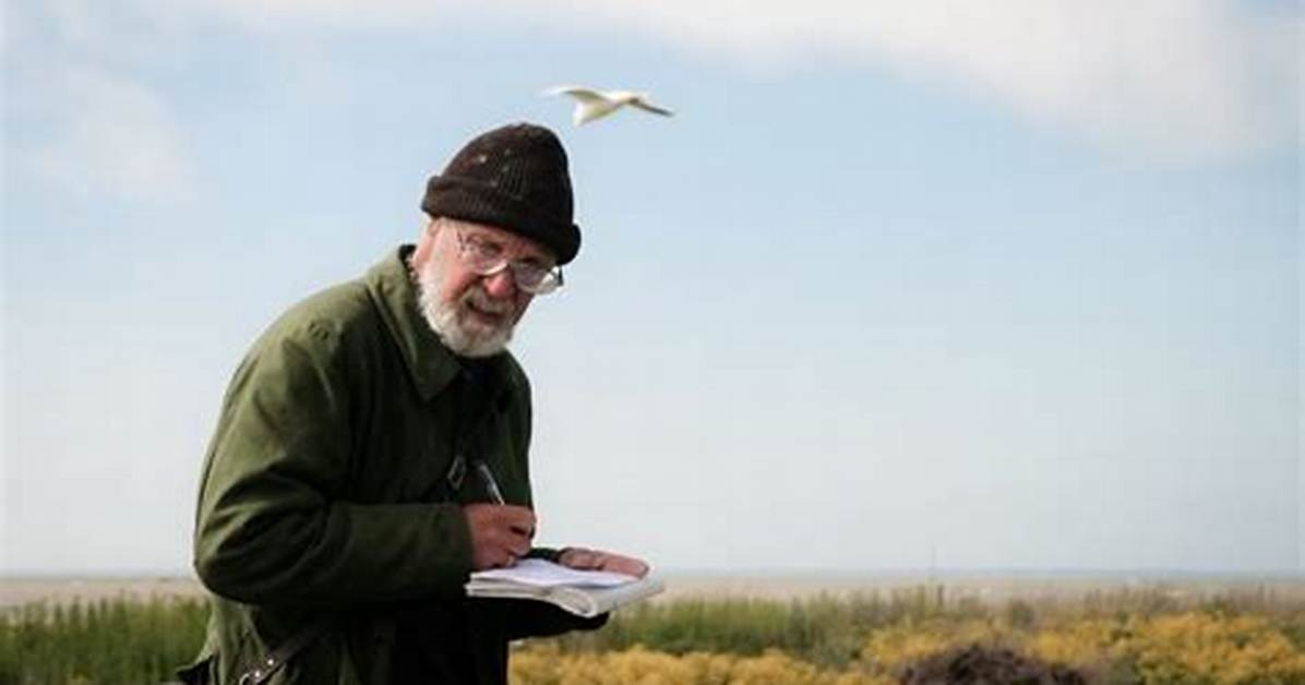 Where Does an Ornithologist Work?