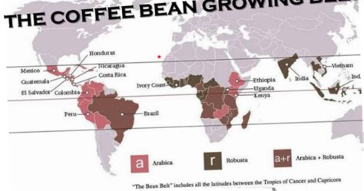 Where Does Arabica Coffee Come from?