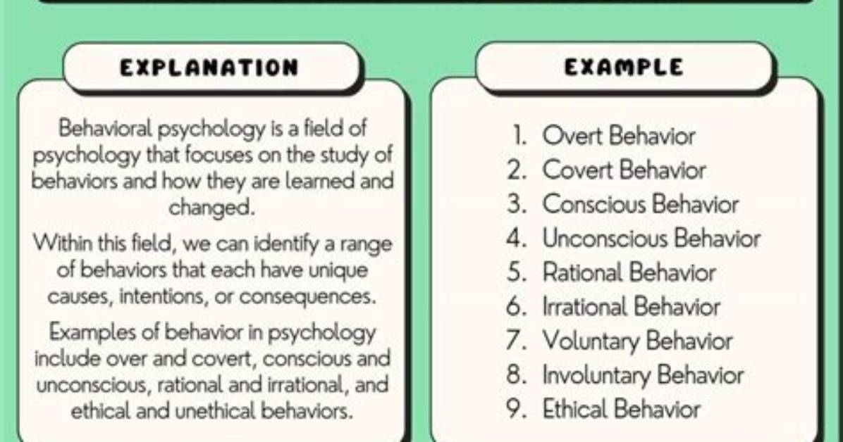 Where Does Behaviour Come from?