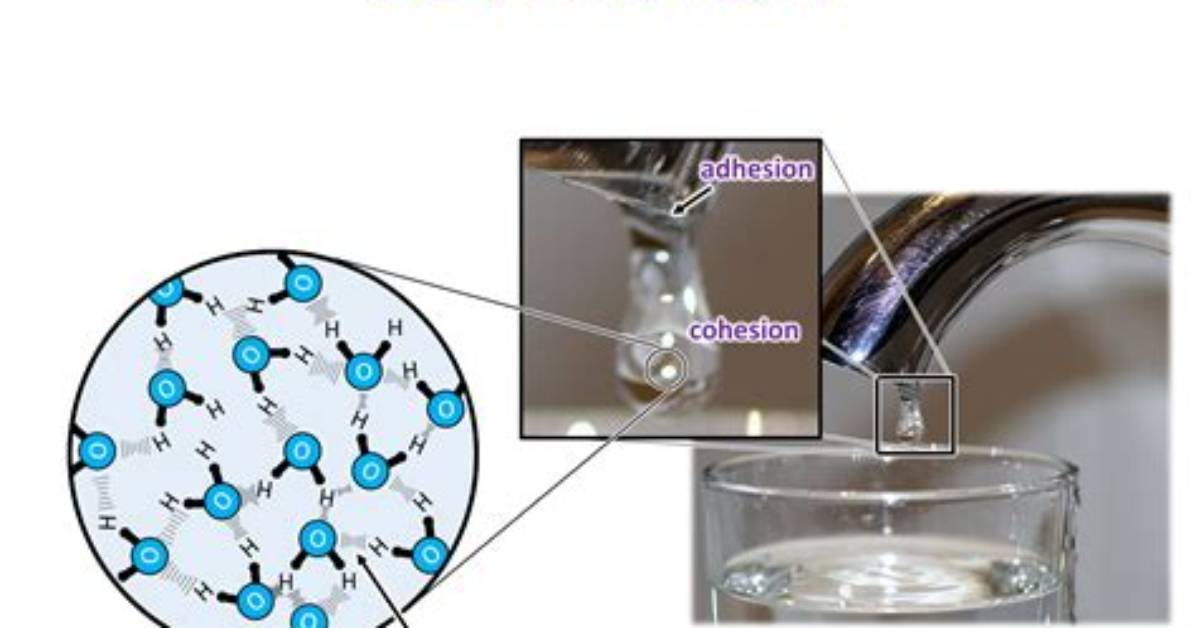 Where Does Cohesion Occur?