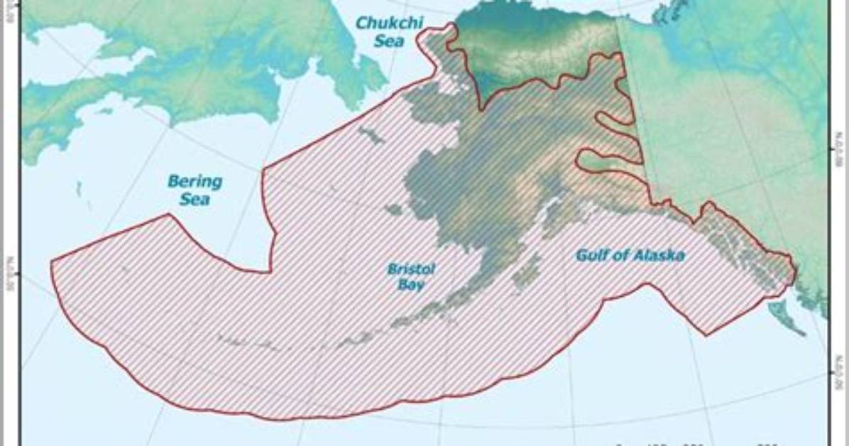Where Does Coho Salmon Come from?
