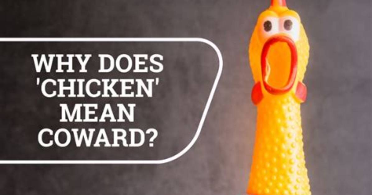 Where Does Coward Come from?