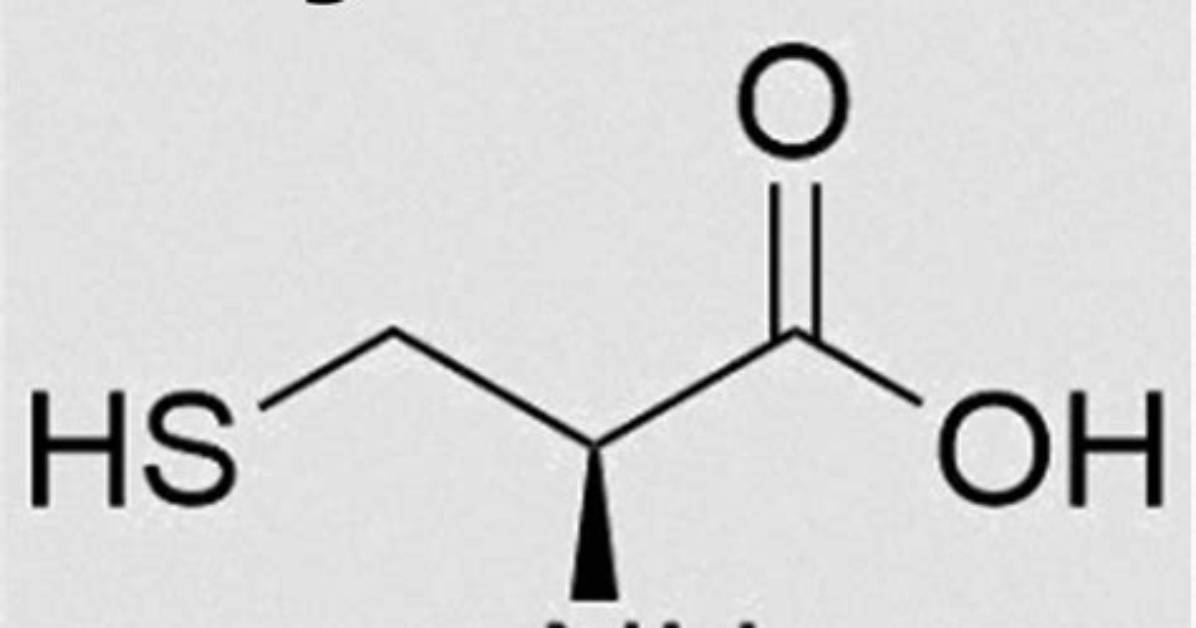 Where Does Cysteine Come from?