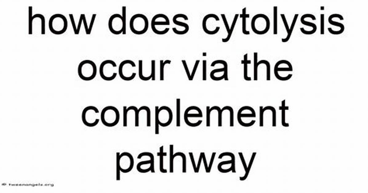 Where Does Cytolysis Occur?