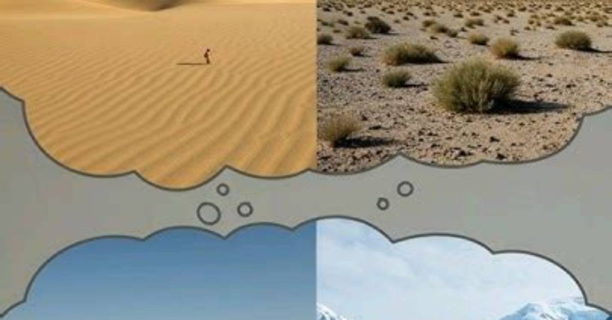 Where Does Desert Sand Come From