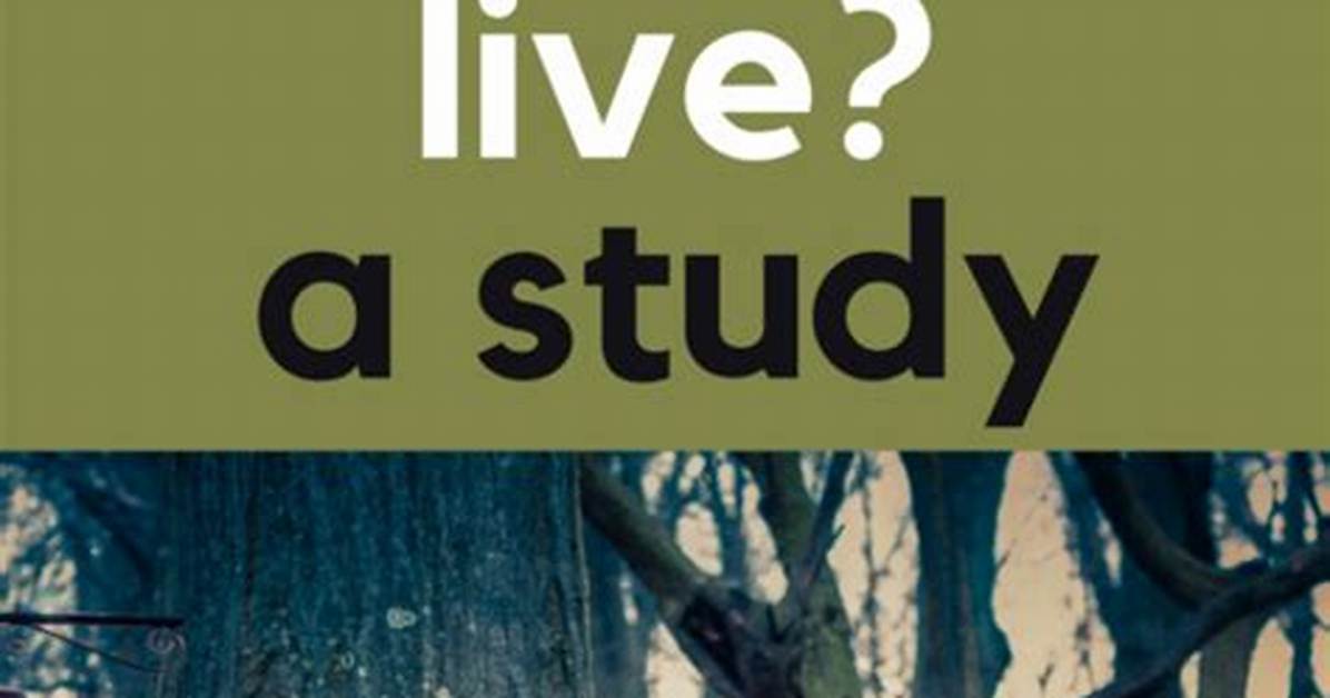 Where Does Fairies Live?