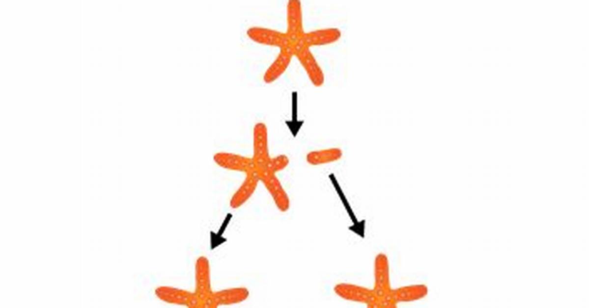 Where Does Fragmentation Occur?