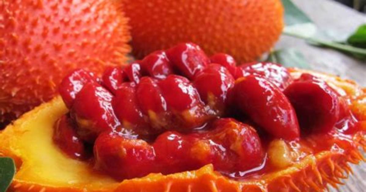 Where Does Gac Fruit Grow