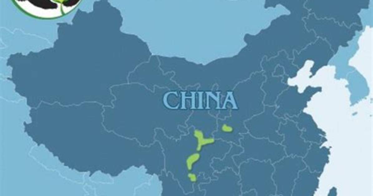 Where Does Giant Pandas Live?