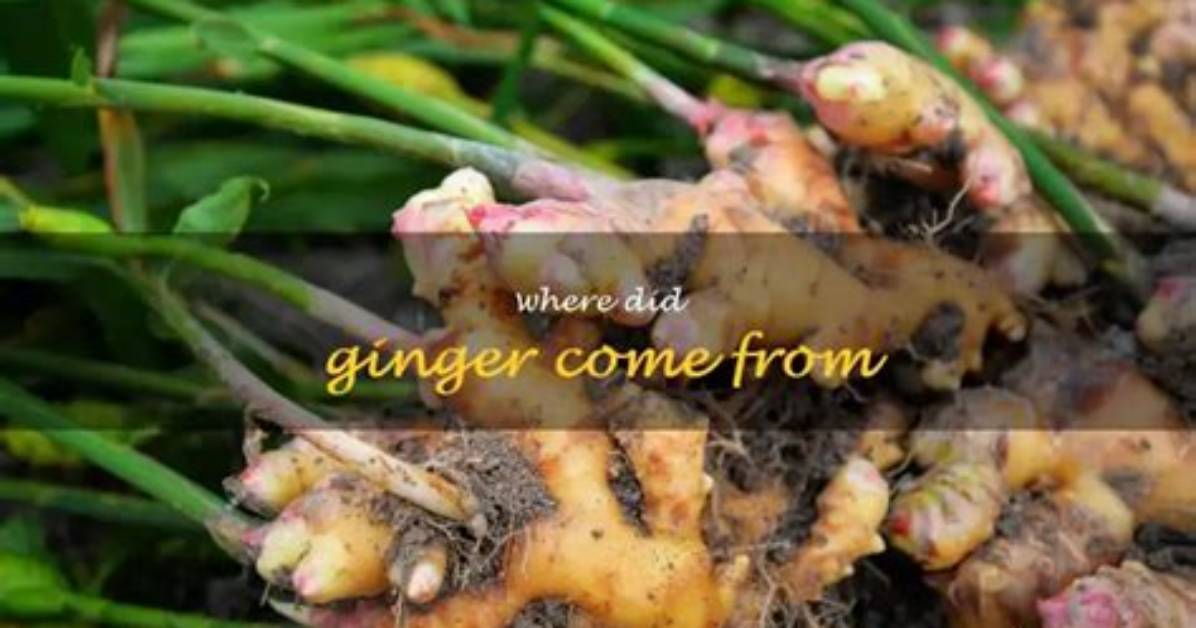 Where Does Ginger Come From