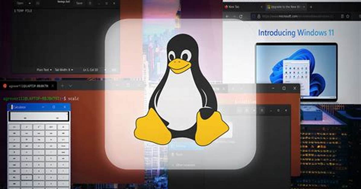 Where Does Linux Subsystem Store Files?