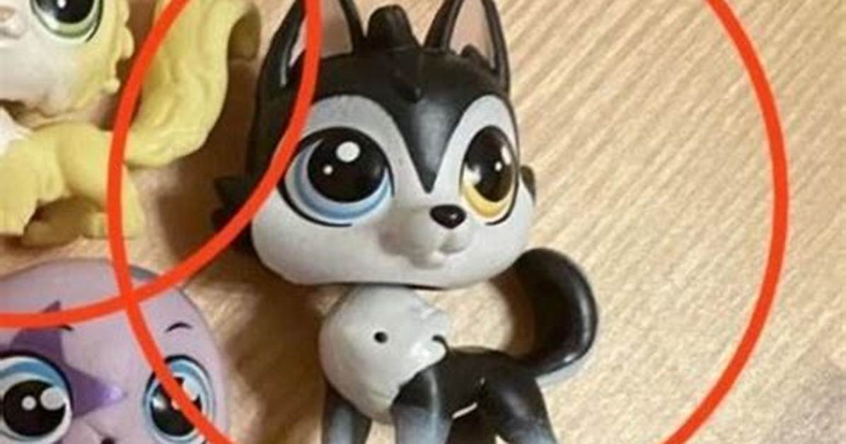 Where Does Lps Come From