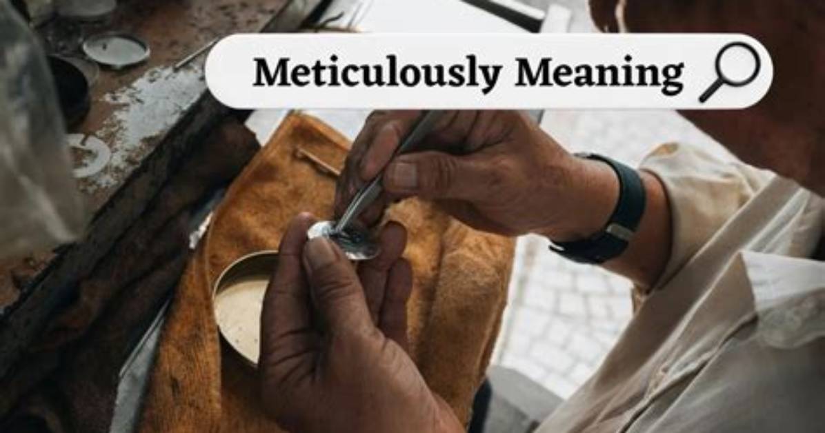 Where Does Meticulously Come from?