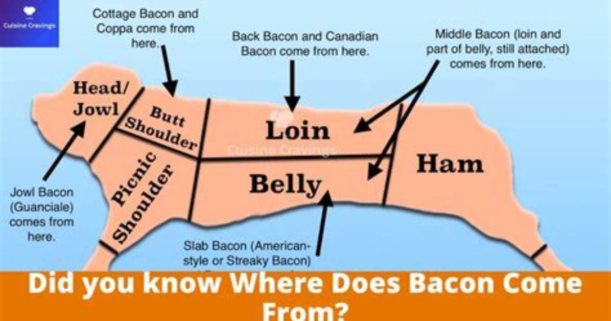 Where Does Most Bacon Come from?