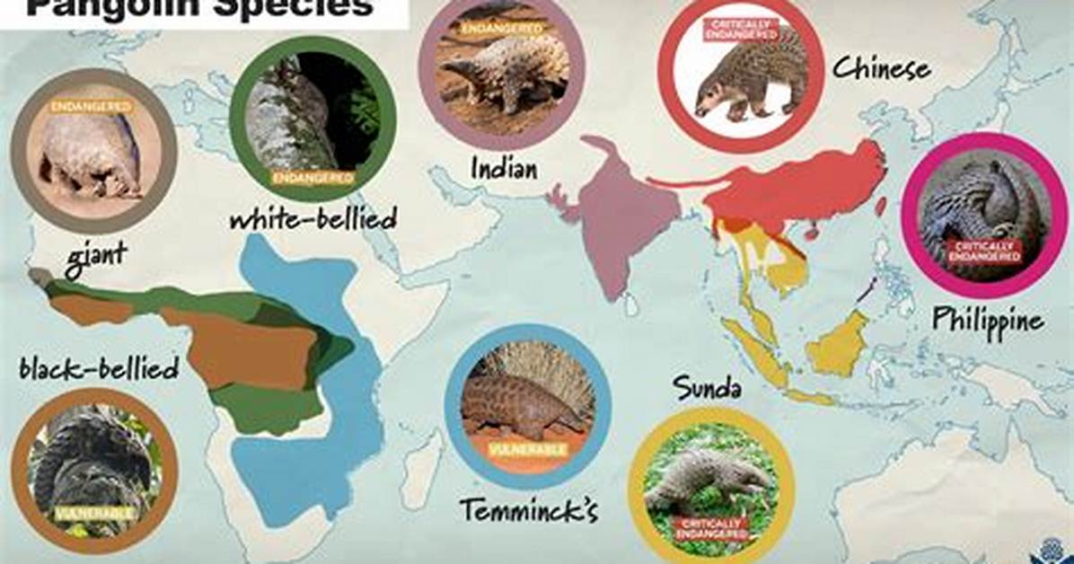 Where Does Pangolins Live?