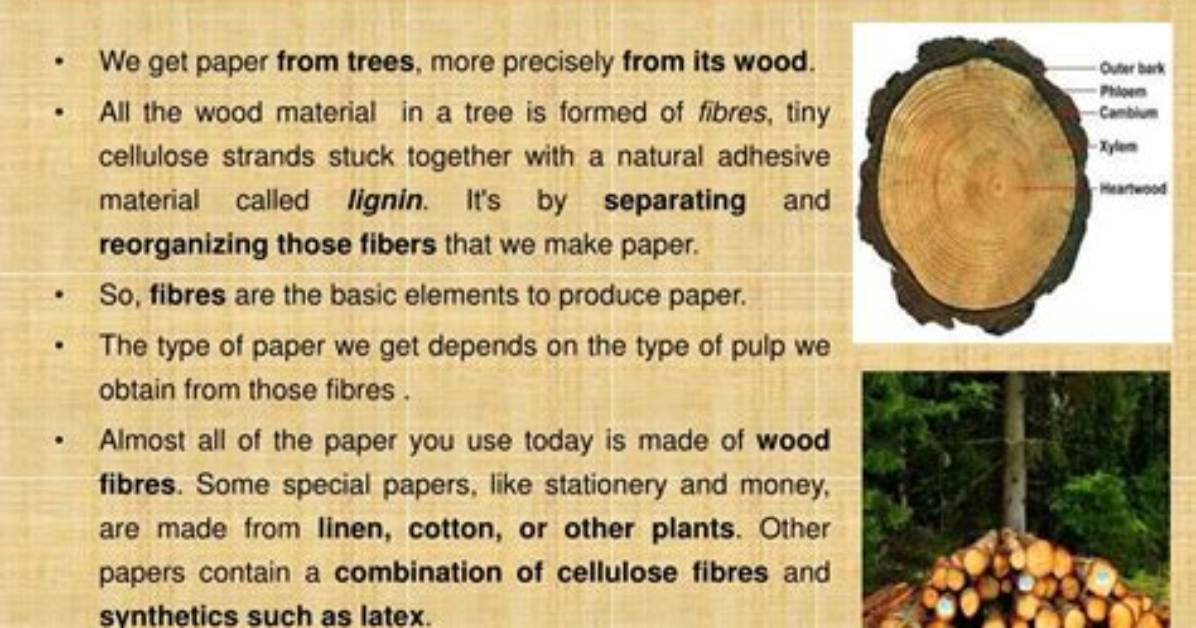 Where Does Paper Come from?
