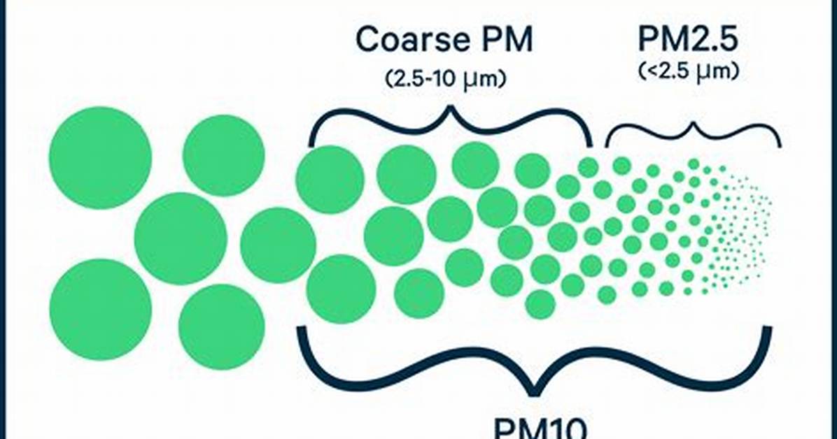 Where Does Particulate Matter Come from?