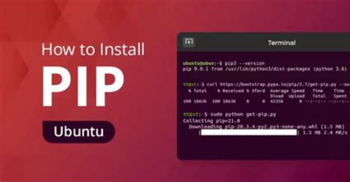 Where Does Pip Install Packages Linux?