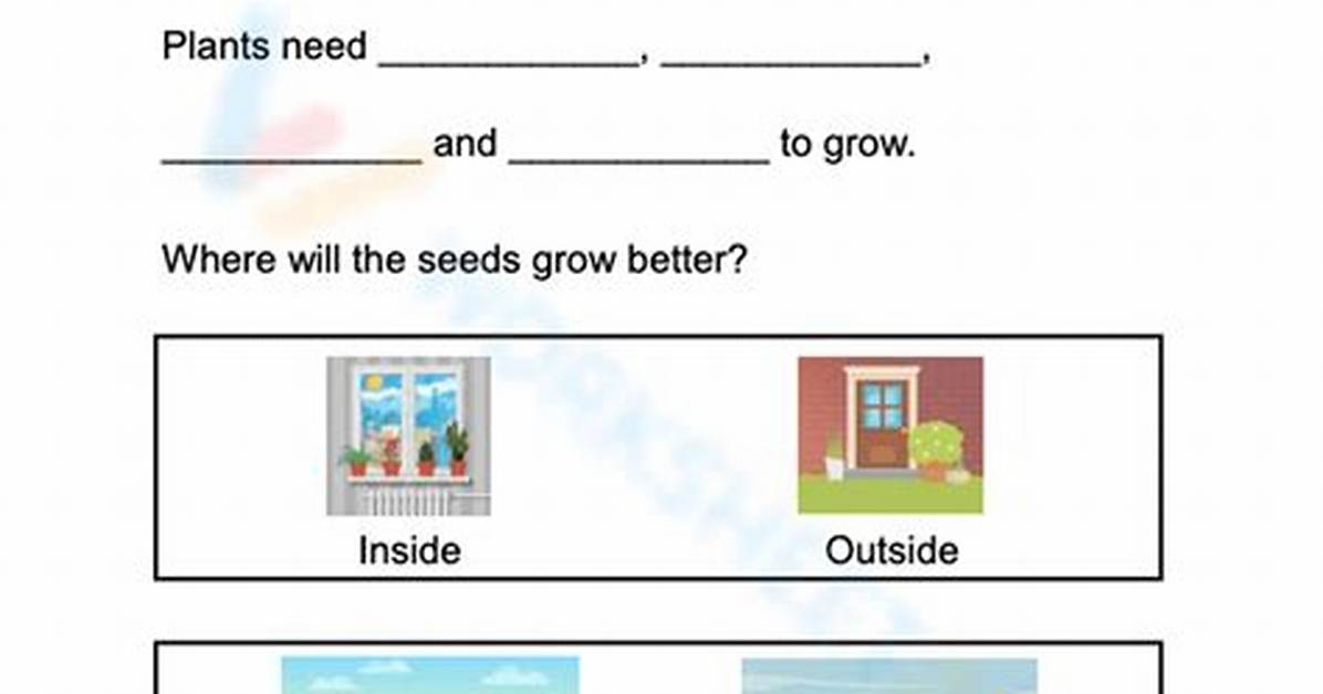 Where Does Plant Grow?