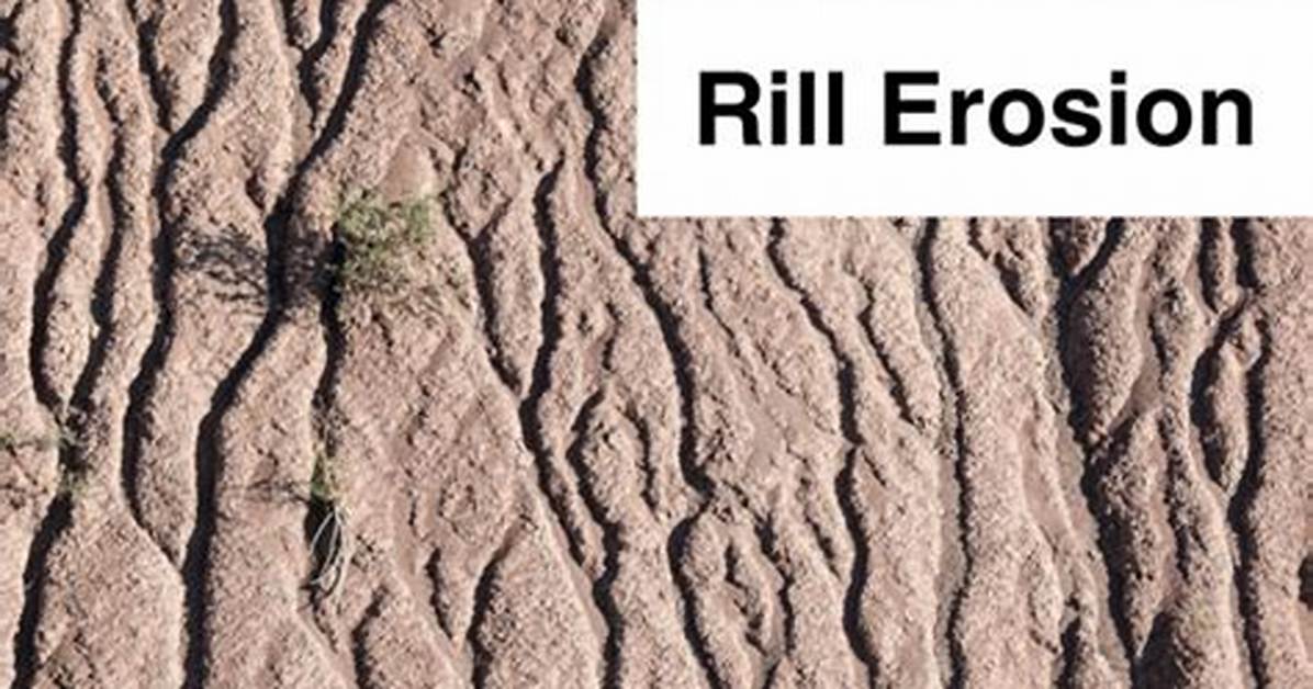 Where Does Rill Erosion Occur?