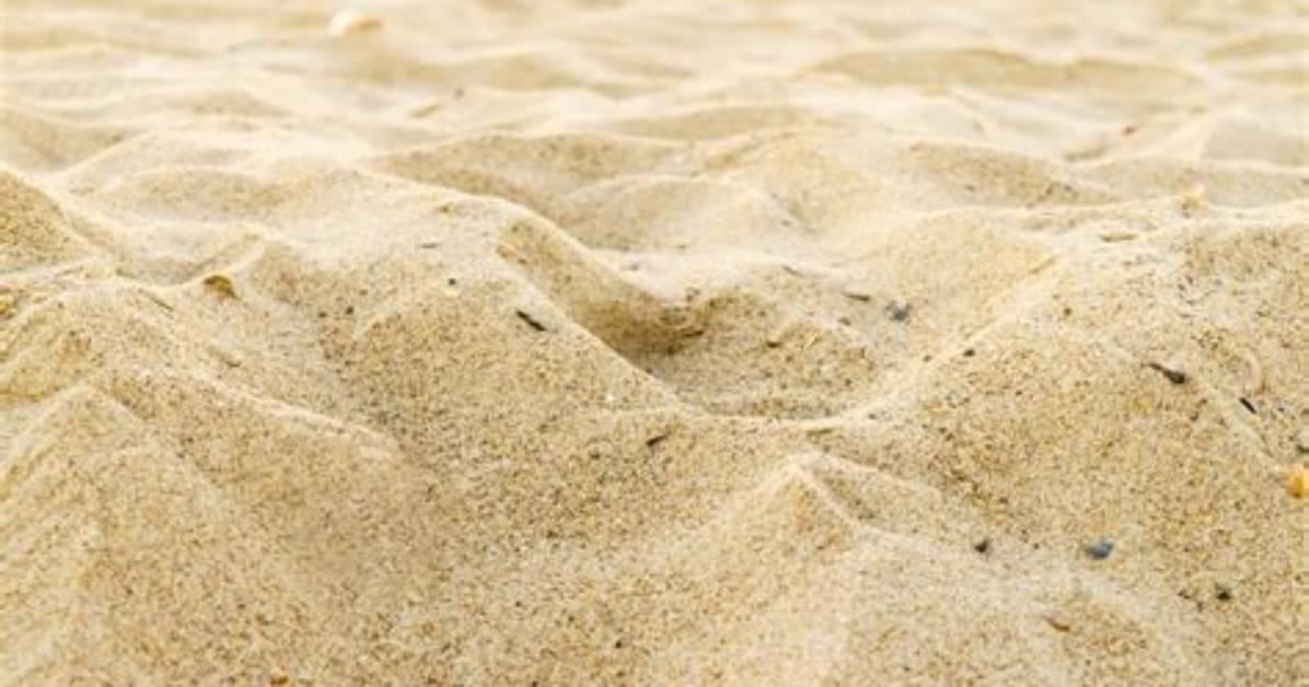 Where Does Sand Shoe Come from?