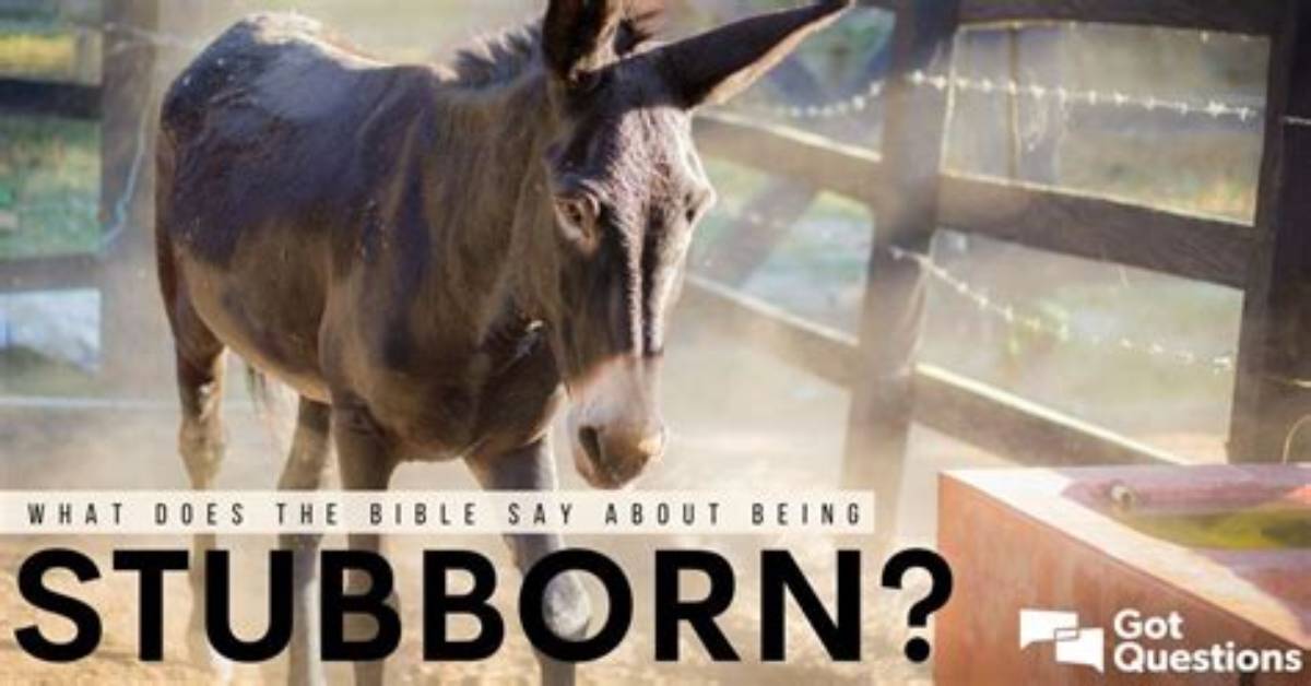 Where Does Stubbornness Come from?