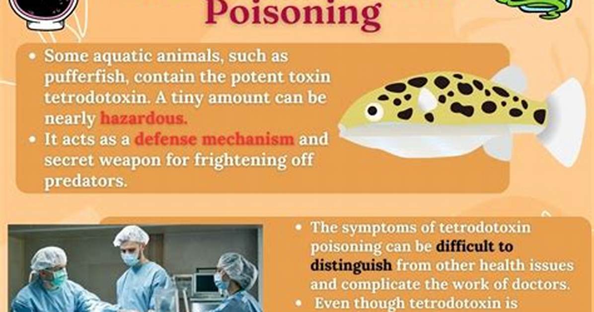 Where Does Tetrodotoxin Come from?