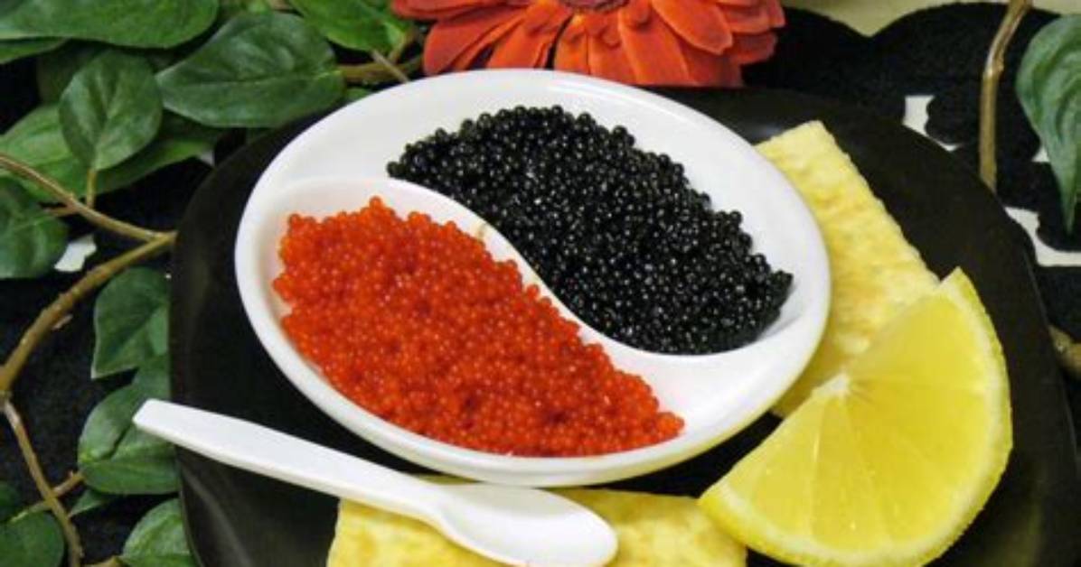 Where Does the Best Caviar Come From