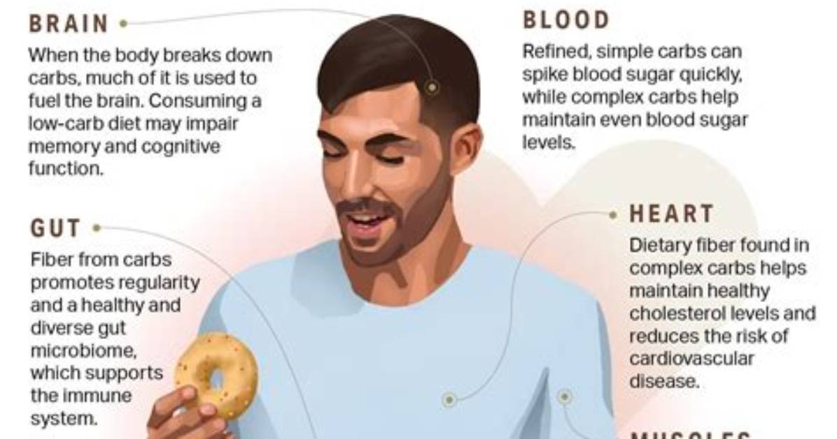 Where Does the Body Store Carbs