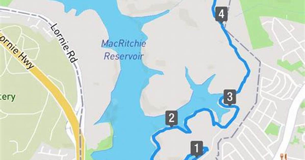 Where Does the Macritchie Trail Start?
