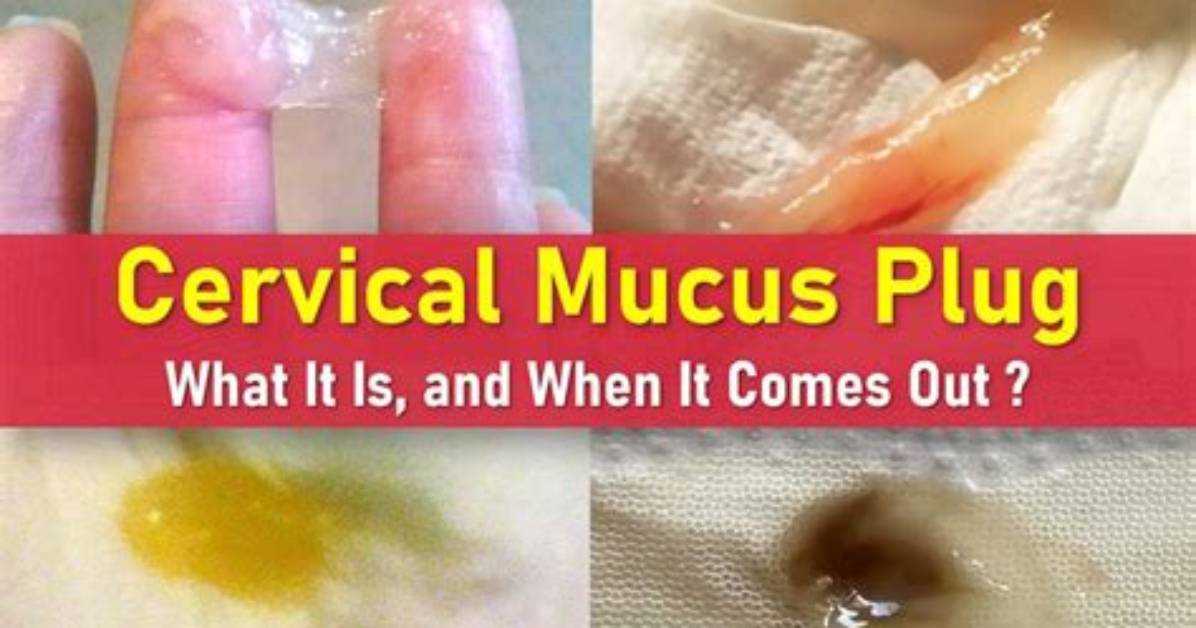 Where Does the Mucus Plug Come out from?