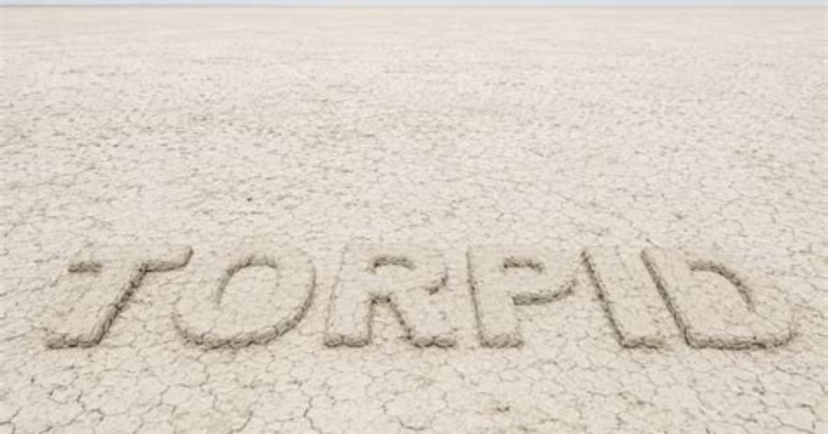 Where Does the Word Torpid Come from?