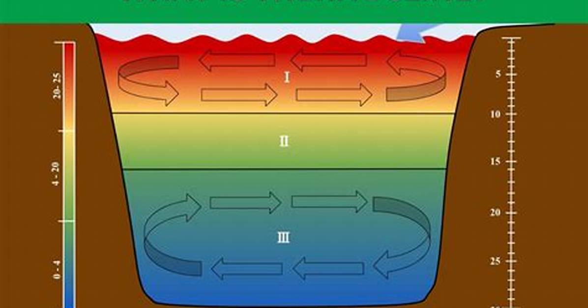 Where Does Thermocline Take Place?