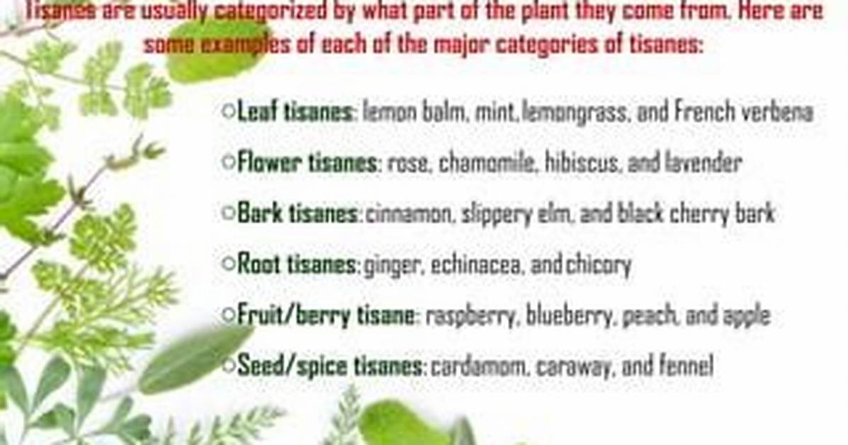 Where Does Tisanes Come from?