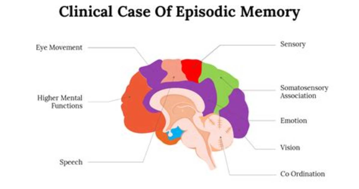 Where in the Brain Is Episodic Memory?