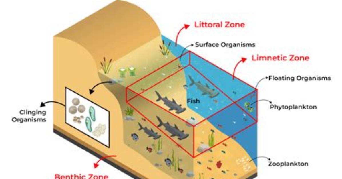 Where Is an Aquatic Ecosystem