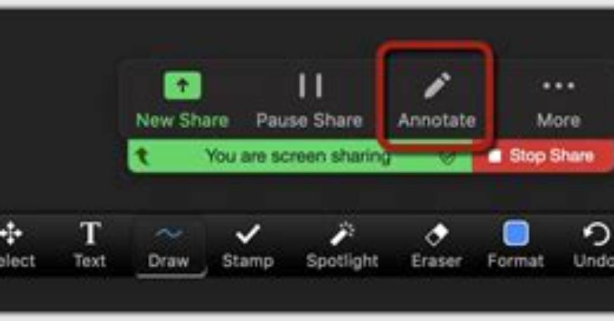 Where Is Annotate on Zoom?