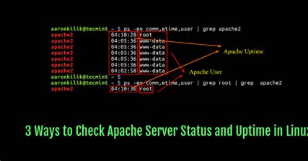 Where Is Apache Process in Linux?