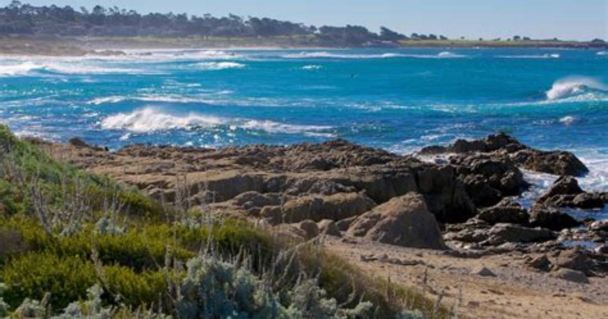 Where Is Asilomar State Beach?
