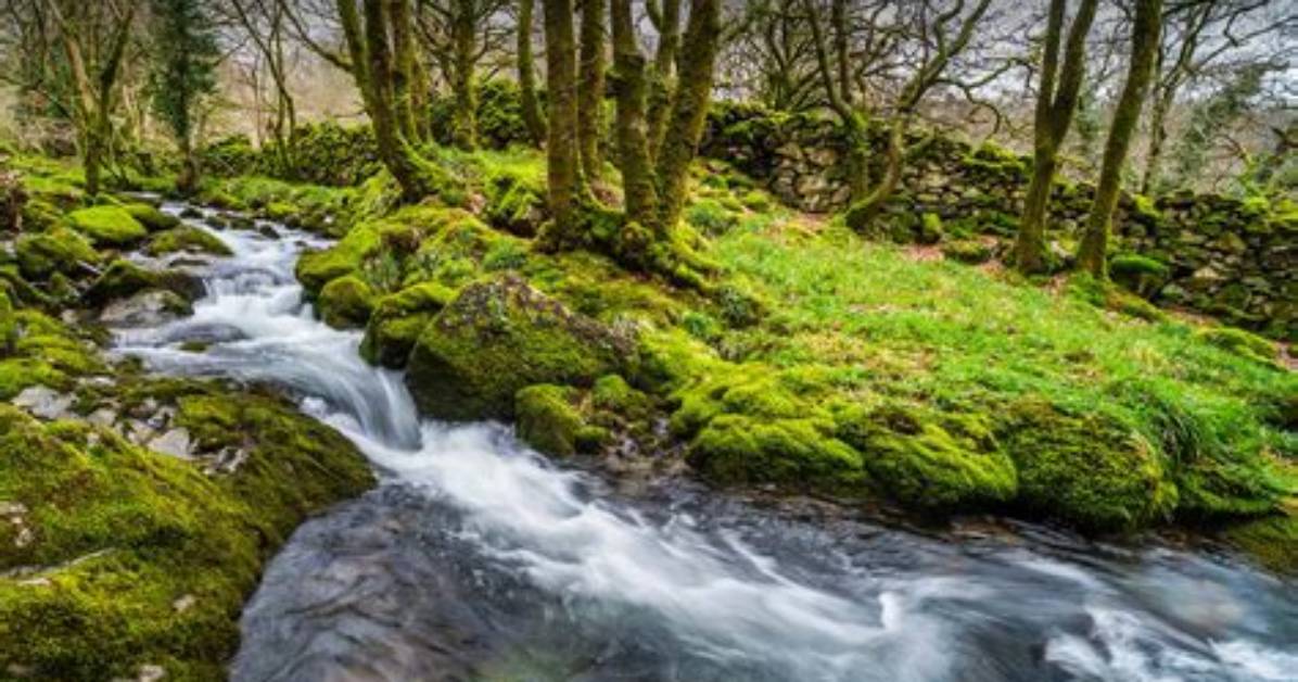 Where Is Babbling Brook?