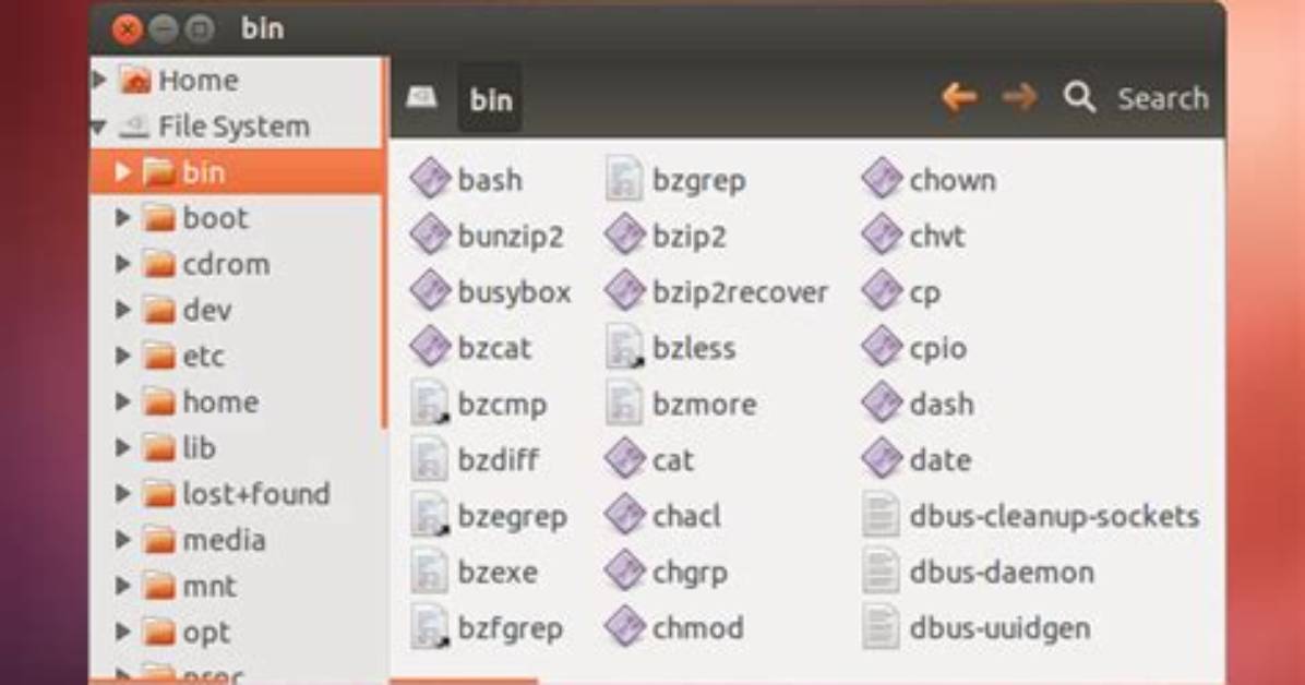 Where Is Bin Folder in Linux?