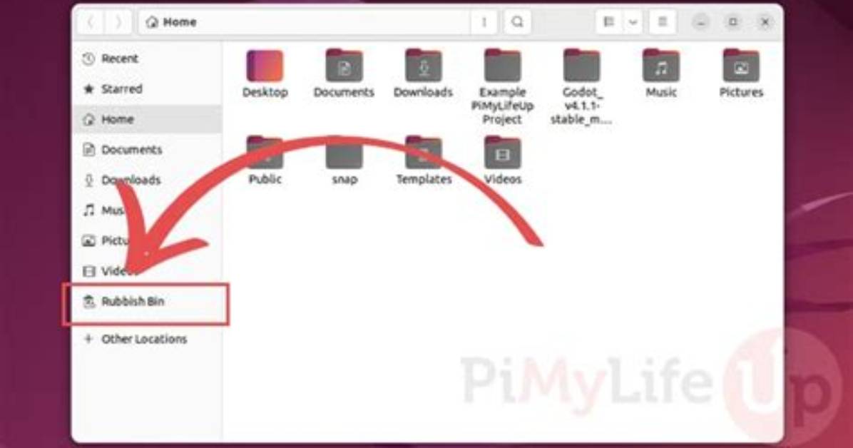 Where Is Bin Folder in Ubuntu?