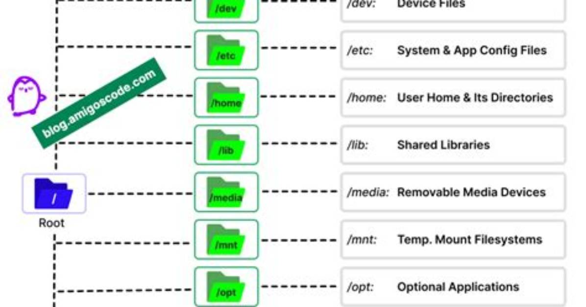 Where Is Binary Located in Linux?