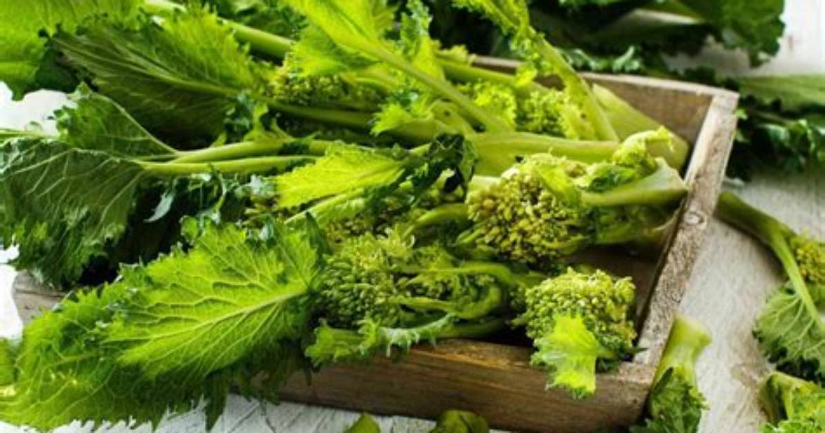 Where Is Broccoli Native To