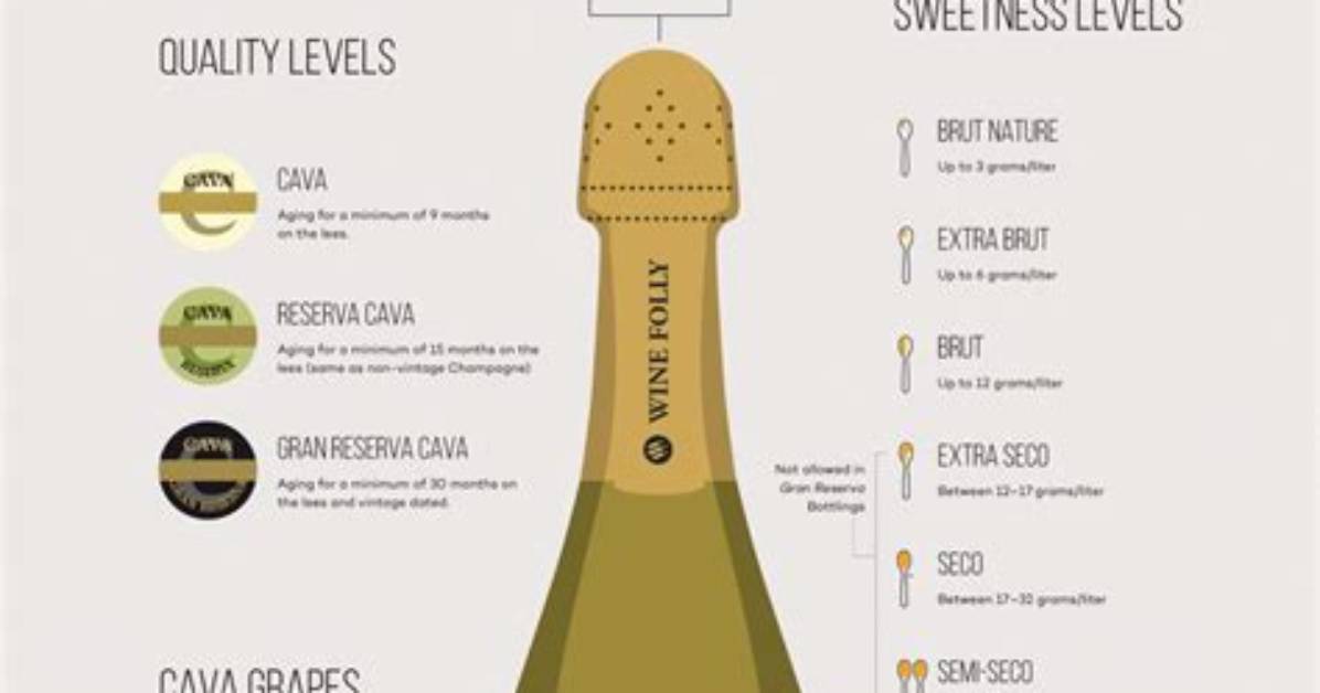 Where Is Cava Made