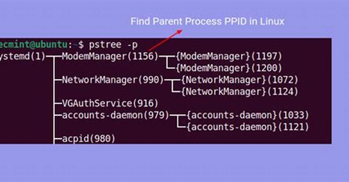 Where Is Child Process in Linux?