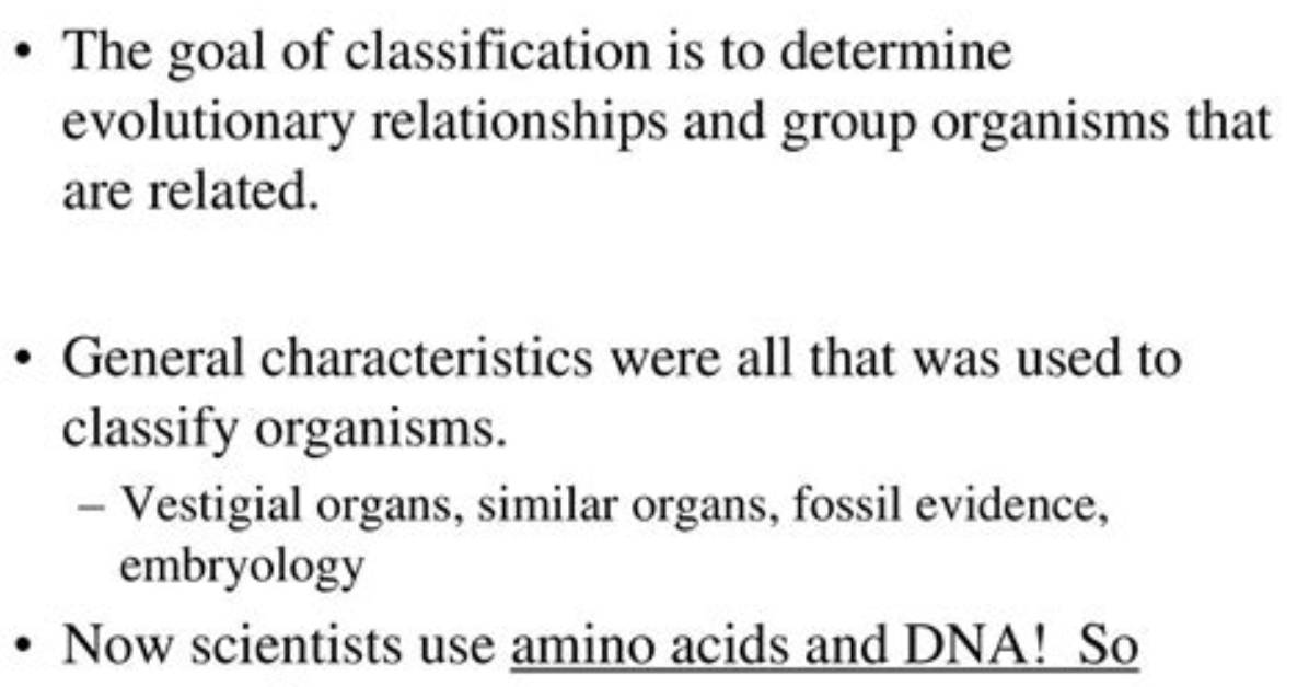 Where Is Classification Important?